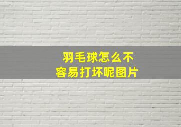 羽毛球怎么不容易打坏呢图片