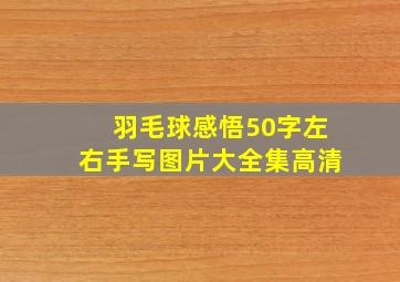 羽毛球感悟50字左右手写图片大全集高清