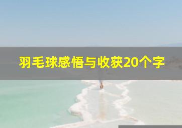 羽毛球感悟与收获20个字