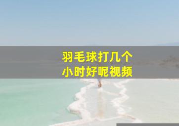 羽毛球打几个小时好呢视频