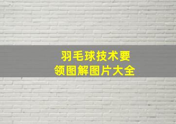 羽毛球技术要领图解图片大全