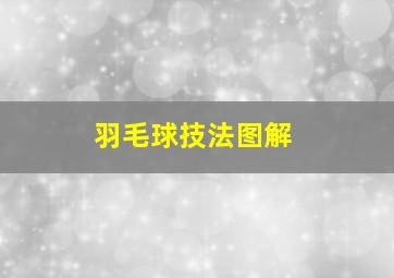 羽毛球技法图解