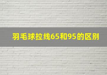 羽毛球拉线65和95的区别