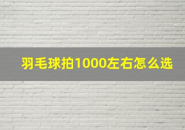 羽毛球拍1000左右怎么选