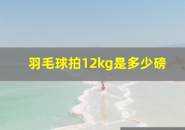 羽毛球拍12kg是多少磅