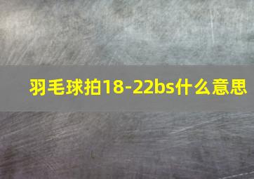 羽毛球拍18-22bs什么意思