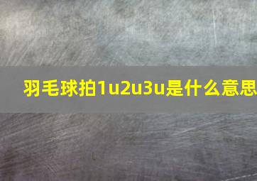 羽毛球拍1u2u3u是什么意思