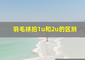 羽毛球拍1u和2u的区别