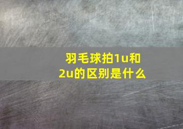 羽毛球拍1u和2u的区别是什么