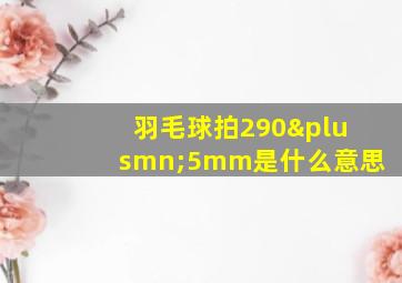 羽毛球拍290±5mm是什么意思