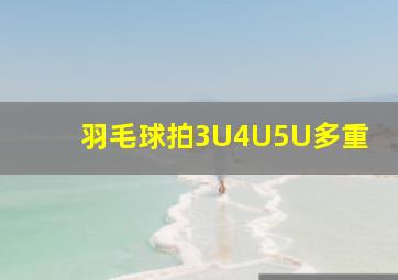 羽毛球拍3U4U5U多重