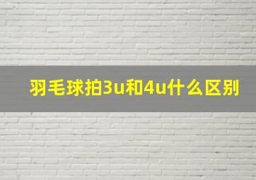 羽毛球拍3u和4u什么区别