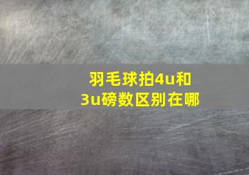 羽毛球拍4u和3u磅数区别在哪