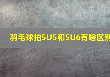 羽毛球拍5U5和5U6有啥区别