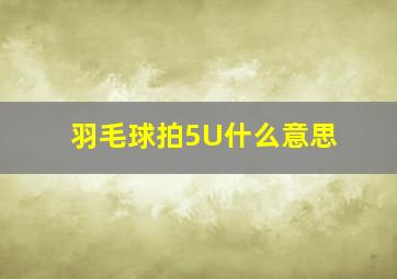 羽毛球拍5U什么意思