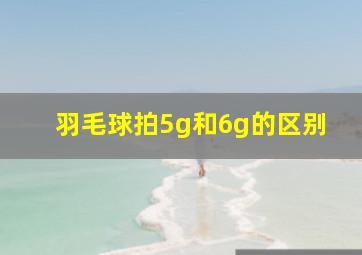 羽毛球拍5g和6g的区别