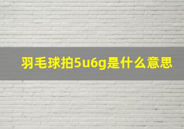 羽毛球拍5u6g是什么意思