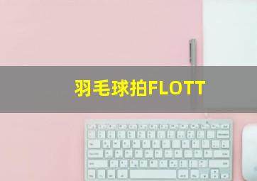 羽毛球拍FLOTT