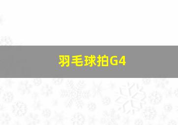 羽毛球拍G4