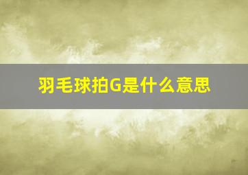 羽毛球拍G是什么意思