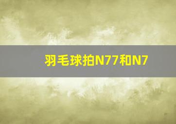 羽毛球拍N77和N7