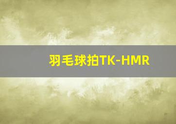 羽毛球拍TK-HMR