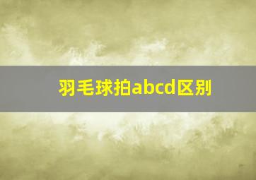 羽毛球拍abcd区别