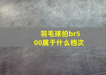 羽毛球拍br500属于什么档次