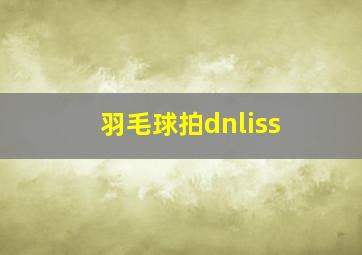 羽毛球拍dnliss