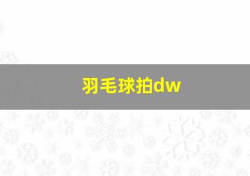 羽毛球拍dw