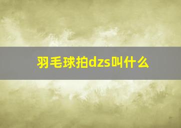 羽毛球拍dzs叫什么