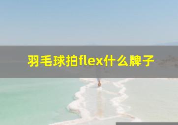 羽毛球拍flex什么牌子