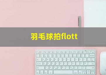 羽毛球拍flott