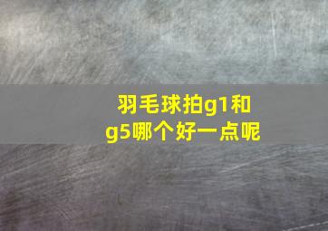 羽毛球拍g1和g5哪个好一点呢