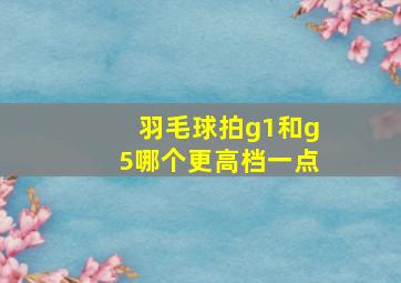 羽毛球拍g1和g5哪个更高档一点