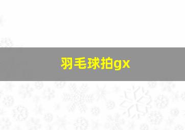 羽毛球拍gx