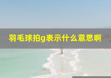 羽毛球拍g表示什么意思啊