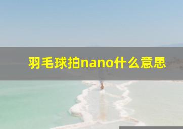 羽毛球拍nano什么意思