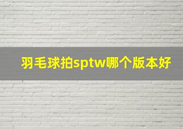 羽毛球拍sptw哪个版本好