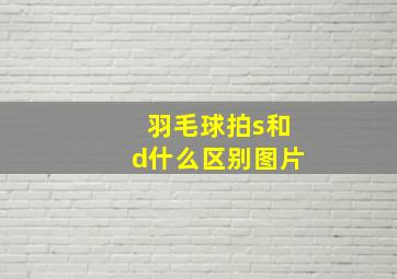 羽毛球拍s和d什么区别图片