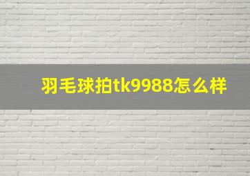 羽毛球拍tk9988怎么样