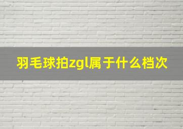 羽毛球拍zgl属于什么档次