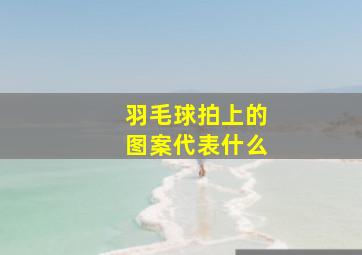 羽毛球拍上的图案代表什么