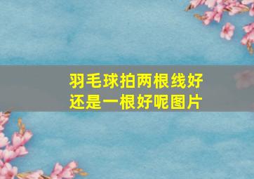 羽毛球拍两根线好还是一根好呢图片