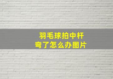 羽毛球拍中杆弯了怎么办图片