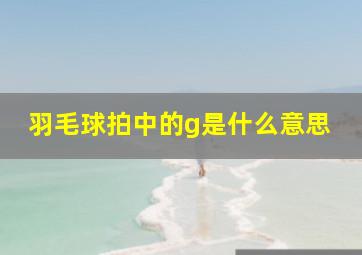 羽毛球拍中的g是什么意思