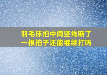 羽毛球拍中间竖线断了一根拍子还能继续打吗