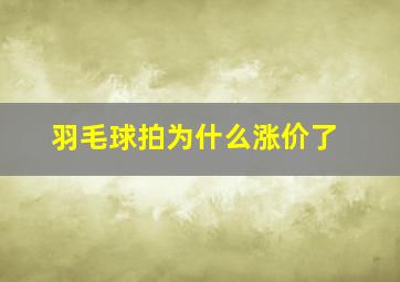 羽毛球拍为什么涨价了