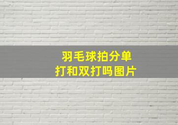 羽毛球拍分单打和双打吗图片