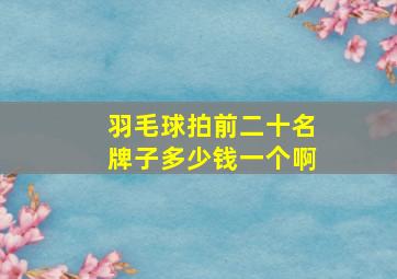 羽毛球拍前二十名牌子多少钱一个啊